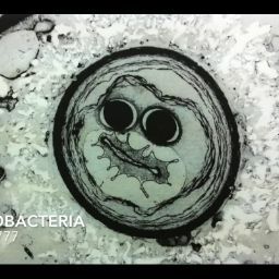 Pat (Smithson) Peña