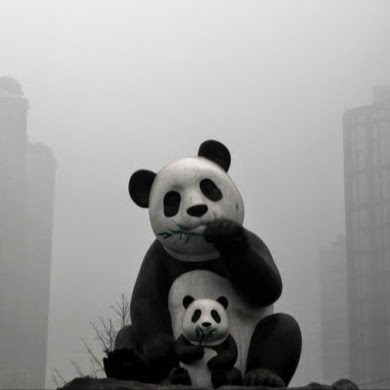 Robert Daniel Curtis