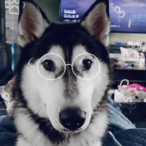 author
