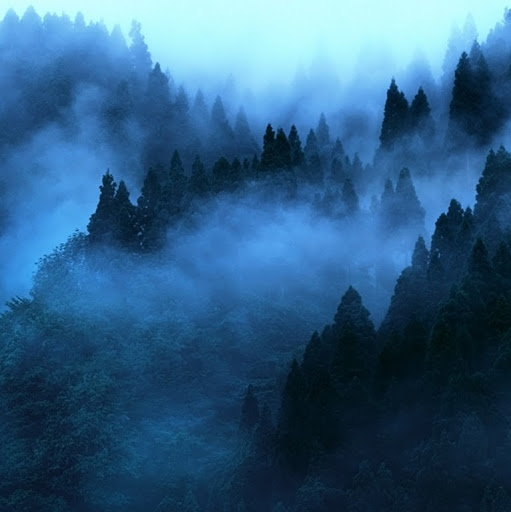 Rob Brown (Mystwalker3333)