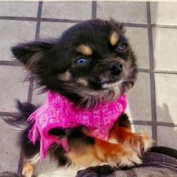 Deborah L. Gabrielson