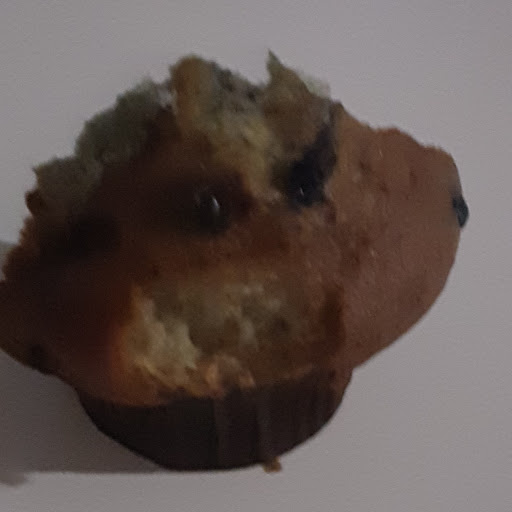 violet cat kitty cat 2 / a muffin