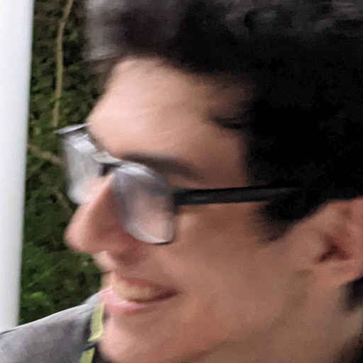 Francisco Gomez Flor