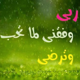 ahmed k.Elmoselhy