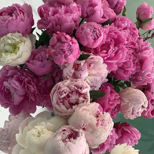 Lord Blackwood Mayweather