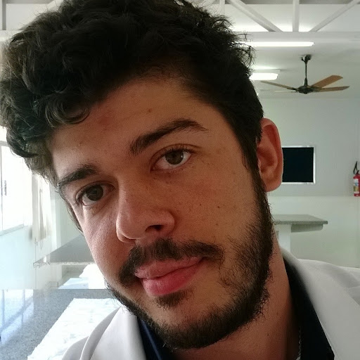 Gabriel Costa