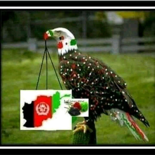 mohmmadmoslim Abdul Qayoum mohmmadslim Abdul Qayoum