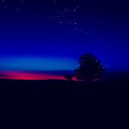 Aldrin Sapula Flores