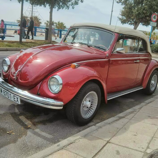 Sonja Little Marengo (The Queen)