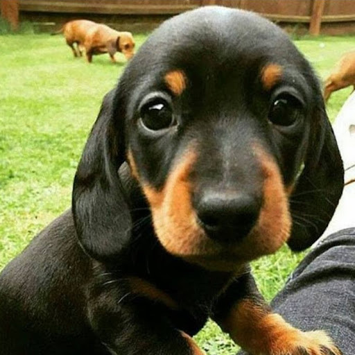 Kimberrylee88888 Lee