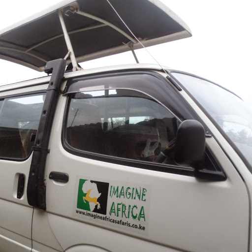 imagine africa safaris