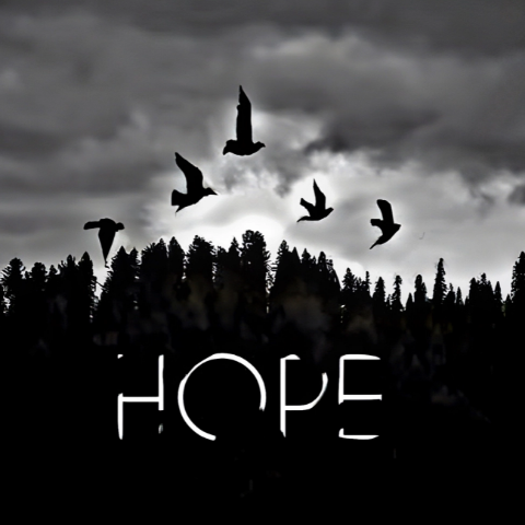 Abd ibn zaid Suleman