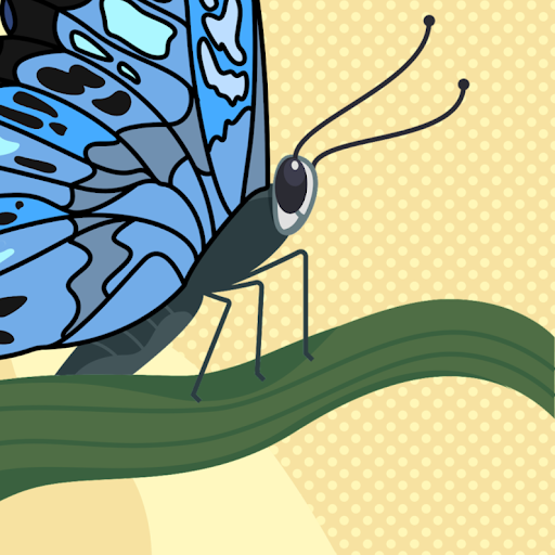 TaylorMade Breedlove