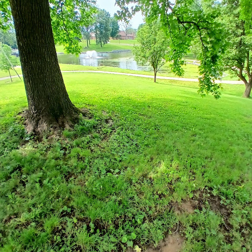 Violet Lourwood (Sky)