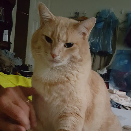 Joanna Pelphrey (StarBurst)