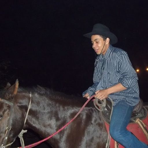 Luiz Henrique Gonçalves Miranda