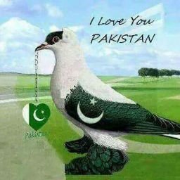 Tahir Aziz (Malik Tahir)