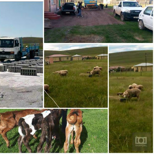 Zamiwonga Trading Cc Zett Cc