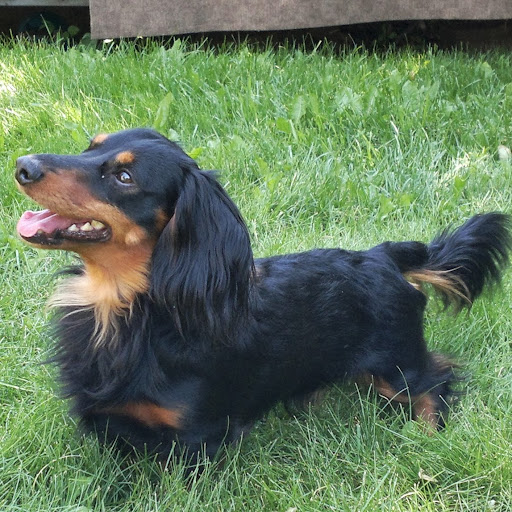 Someguy Fromsomeplace