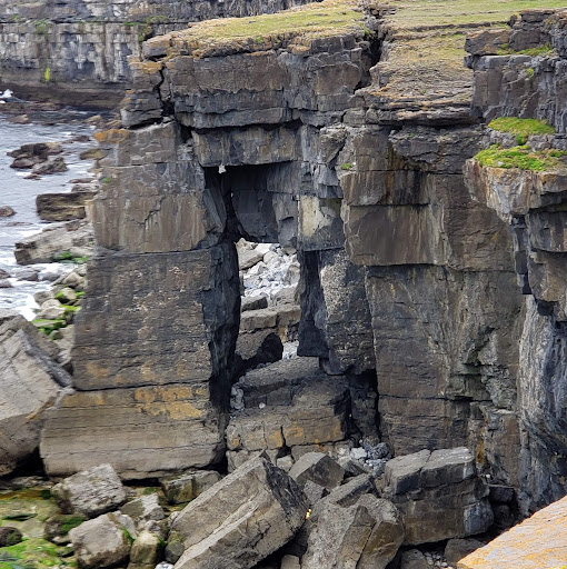 Nigel Dyson-Hudson, Cave aNd SAR