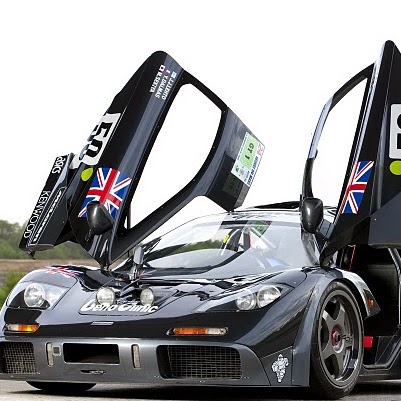 ziggie z (maclarn5840)