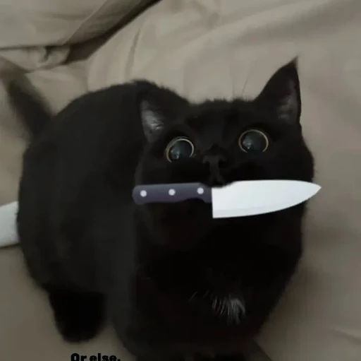 VINCHEL ATHENA DELA PEÑA