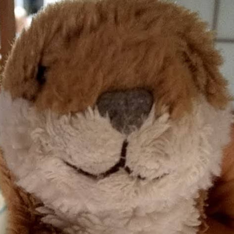 otter cutie (cuty.otter)