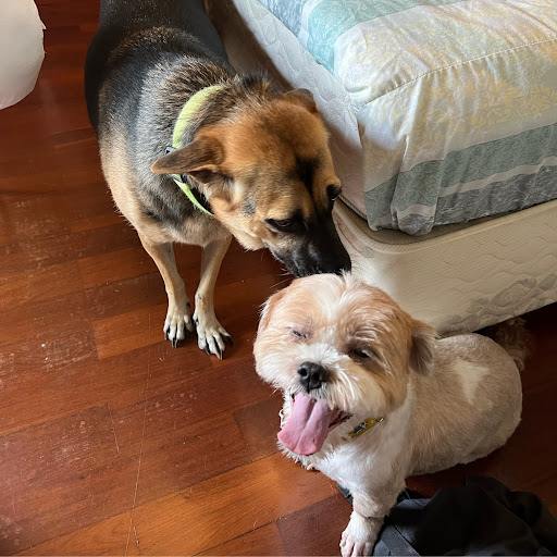 Di Lok Rit Thongsaeng