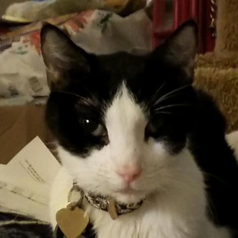 Mighty Warrior (Dr. K.)