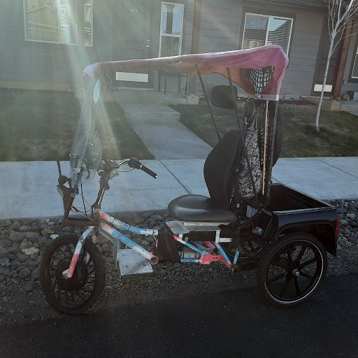 Electro Fried Riggin