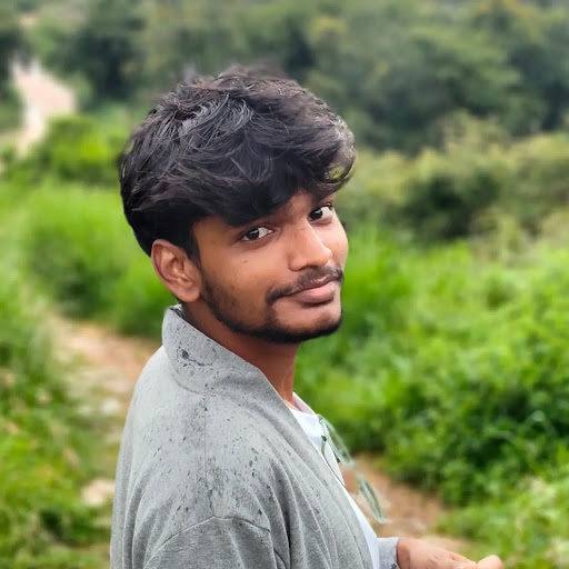 Shenbaga Raj K (Shenba)