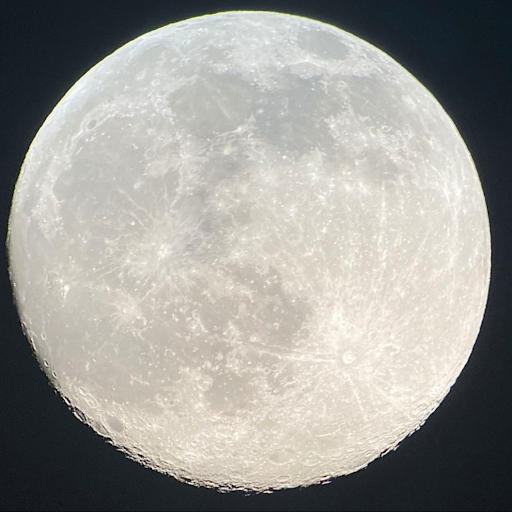 Marco Castro (JERRY)