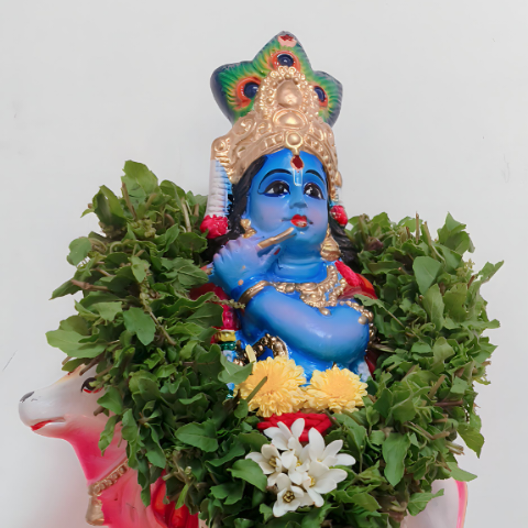 Dhamu Jith