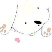 Shobrina Shifa Auliyah