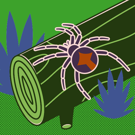 aleksandre eriashvili