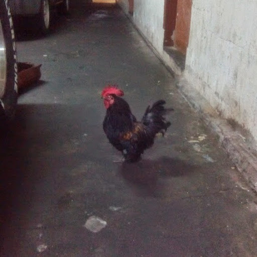 Nagarajan Ganesan Mr Raja King