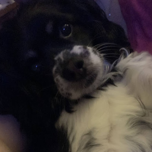 Amanda & James & Lily