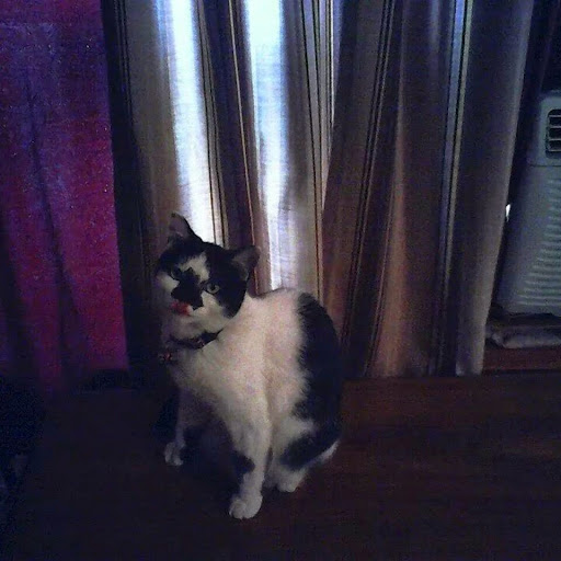 rosemarie Richardson