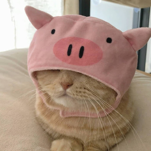 Floteurfly “La septiplier neko”