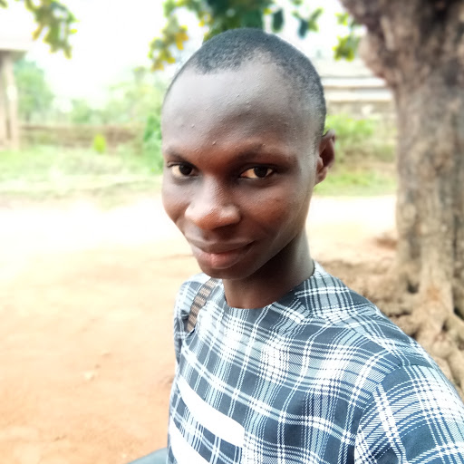 Bamidele David