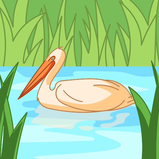 MD Saddam Hossan MD Saddam Hossan