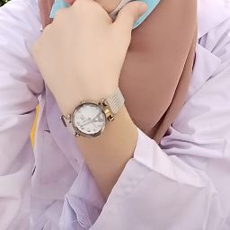 Gull