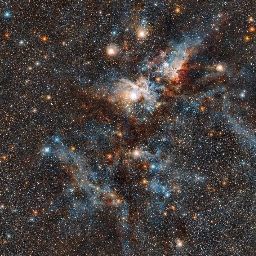 Genesis Omega