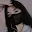 santixpclaro's avatar