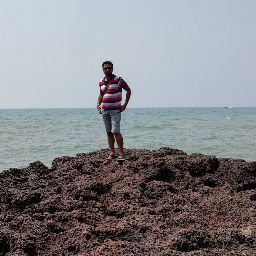 Abhishek Bandyopadhyay