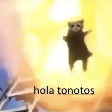 Tonotos
