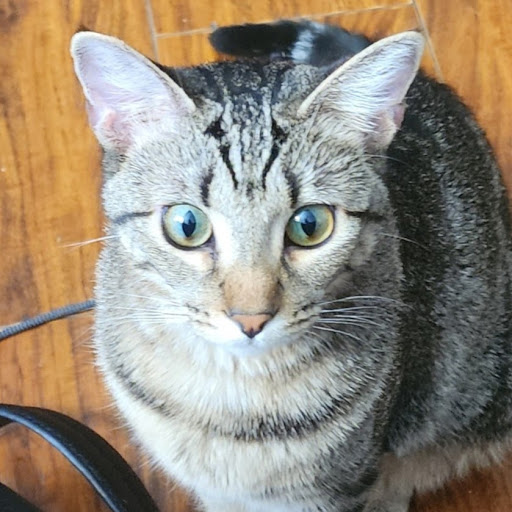 Michelle “Ms. Mookie's Momma” Turner