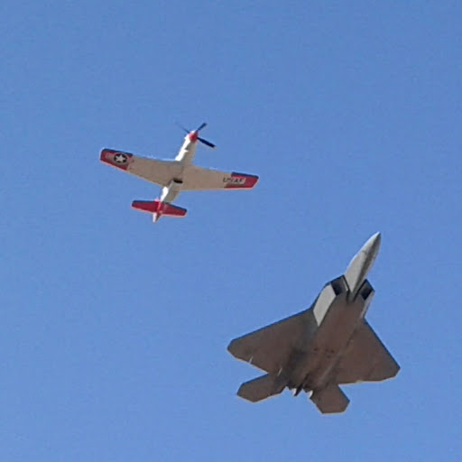 International Council of Space