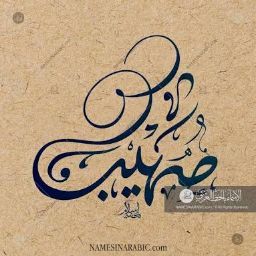 Muhammad Sohaib Shahid