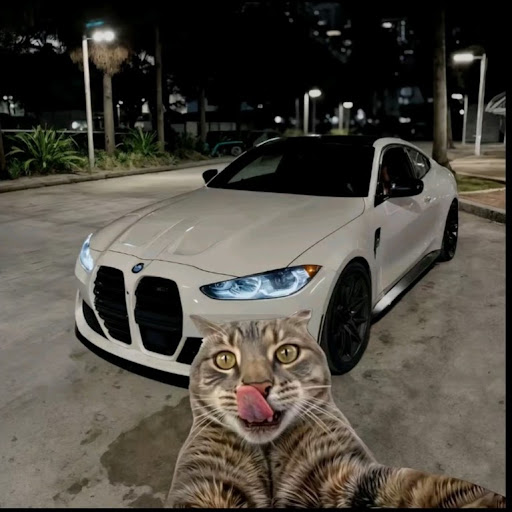 AbdAlrahman M. GadAllah